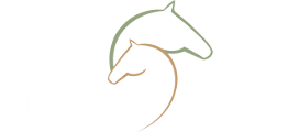 victory_reins_logo_120_white victory_reins_logo_120_white