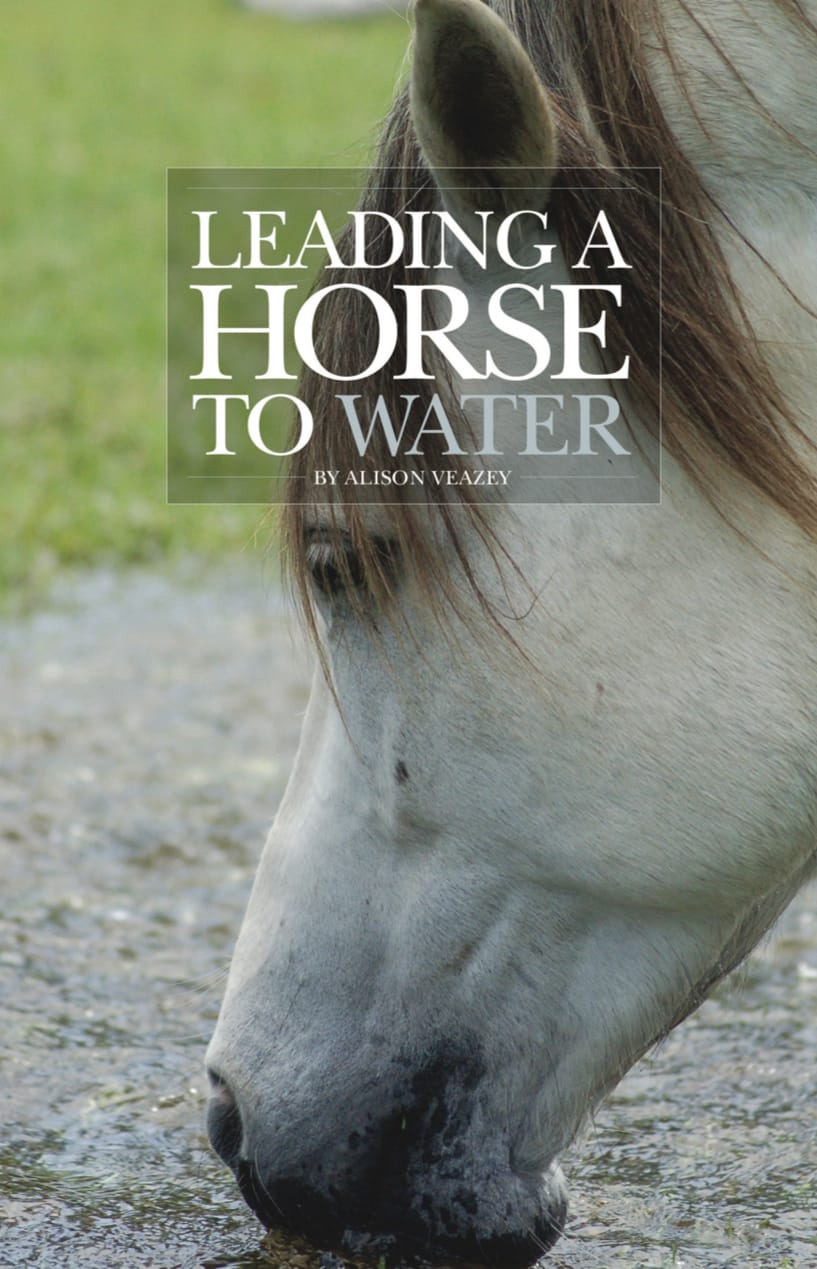 Leading a Horse to Water (Client Manual) Think Life Change